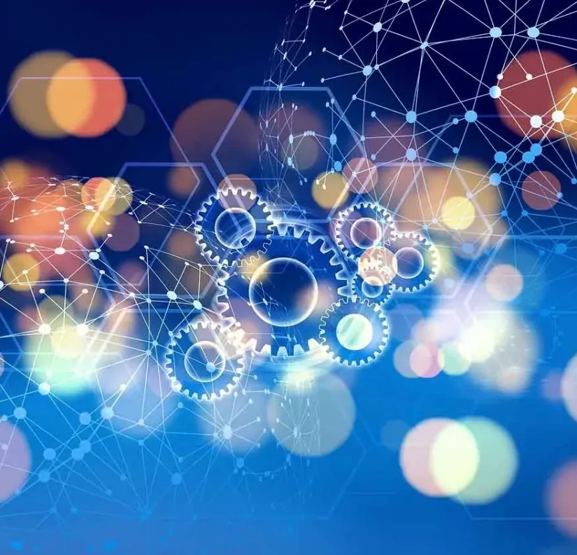 What Exactly Is a Backbone Network? A Beginner-Friendly Overview