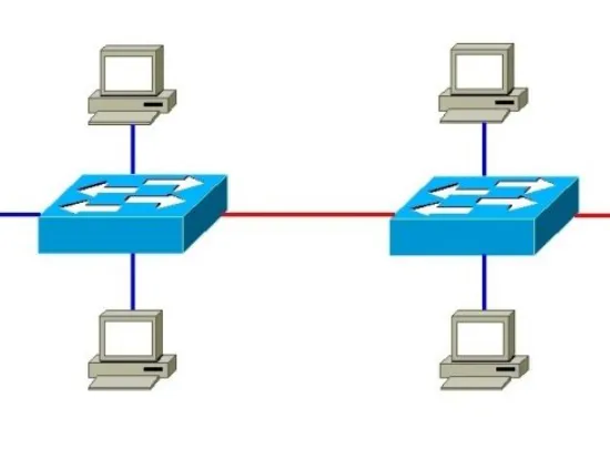 Trunk Ports vs. Access Ports: What Makes Them Different and When to Use Each